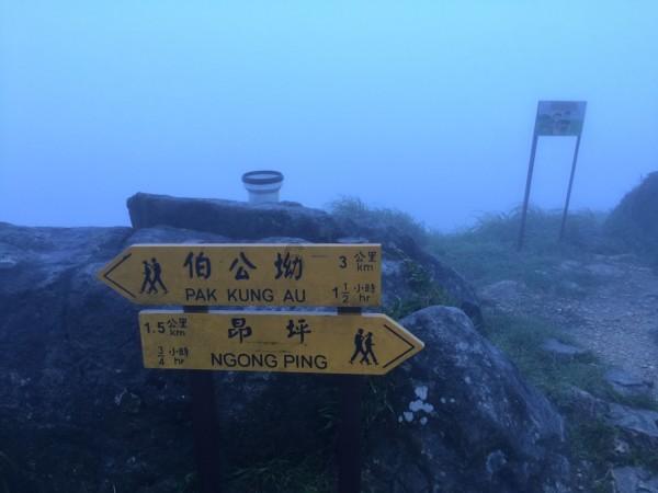 五彩果冻大相连
